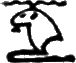 glyph