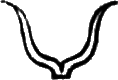 glyph