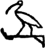glyph