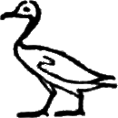 glyph