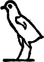 glyph