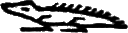 glyph