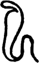 glyph