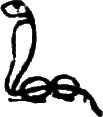 glyph