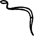 glyph