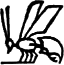 glyph