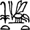 glyph