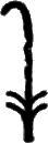 glyph