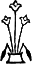 glyph