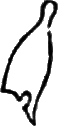 glyph