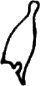 glyph