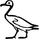 glyph