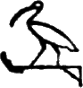 glyph