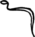 glyph