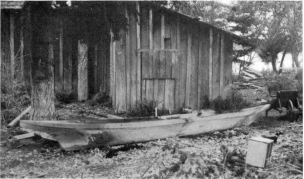 WATERMAN&mdash;CANOES

PL. VI

THE FINISHED HULL OF THE CANOE SHOWN IN PLATES IV AND V

To the left in the photograph is the bow, which in this case lacks the
“notch” found in many specimens. The “lift” of the boa1’s lines toward
the prow may be plainly seen. This enables it to ride the waves.

(Photograph by J. D. Leechman.)