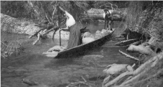 WATERMAN&mdash;CANOES
PL. VII
A “SHOVEL-NOSE” CANOE IN ACTION
Scene on the upper waters of Quinault river, coast of Washington.
(Photograph by J. H. Weir, of “The Mountaineers.”)