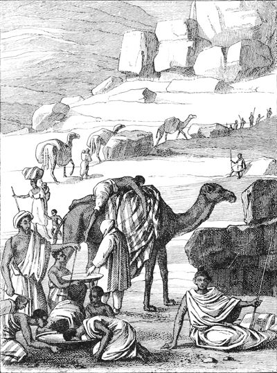 1796 France fourrages pour bestiaux destiné à l'Armée d’Italie 