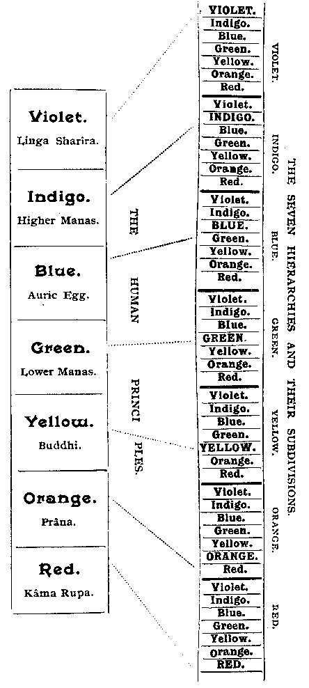 Diagram III