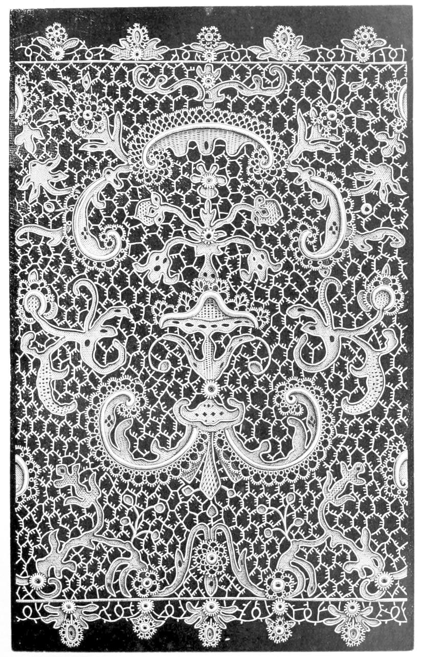 Lace featuring bristly connecting
    threads