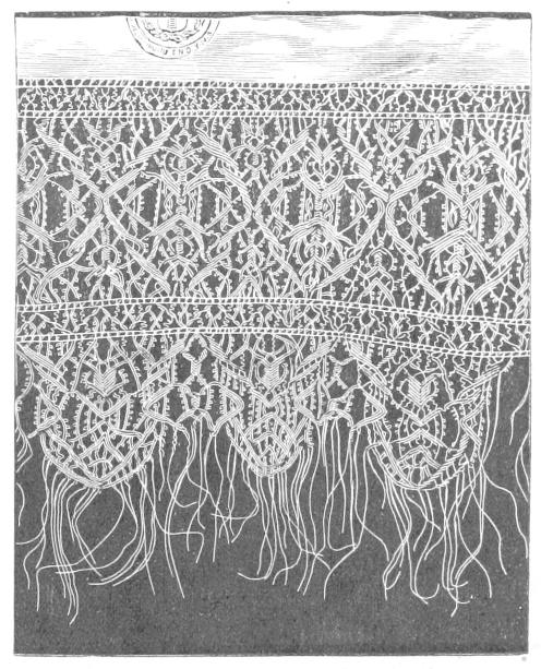 Border with loose threads at edge