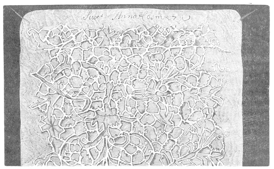 Partly worked lace on parchment