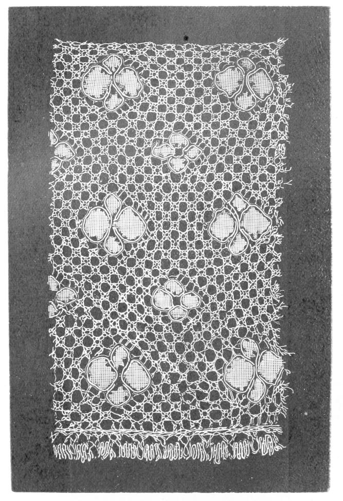 Lace with checkered ground