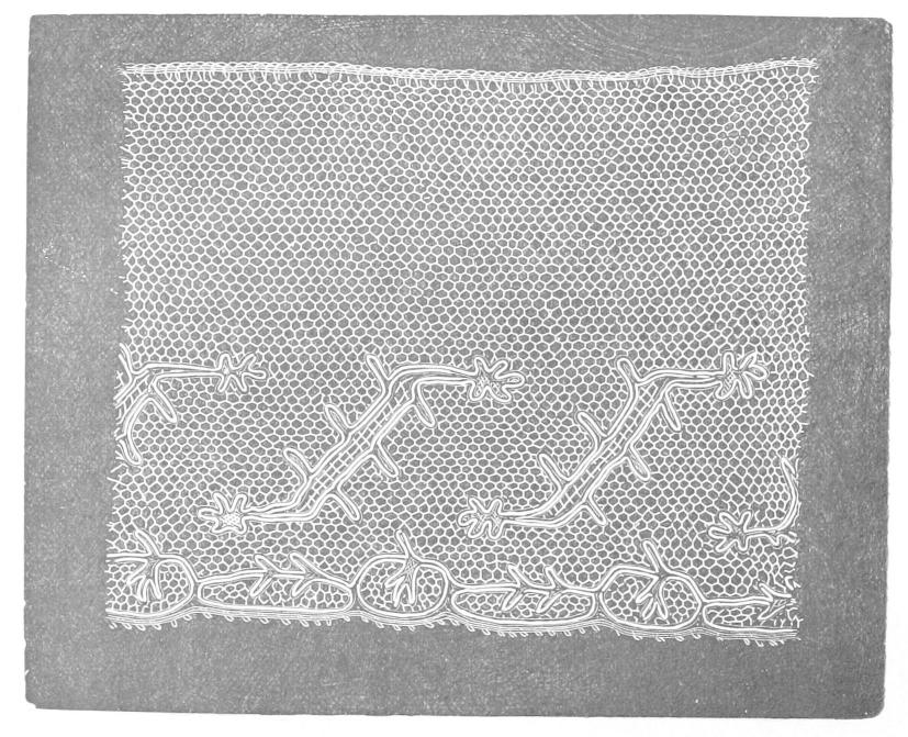 Lace with abstract outlined shapes
