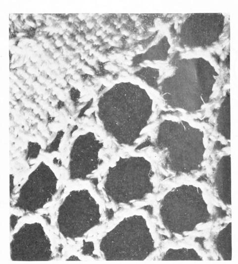Detail of Lace network