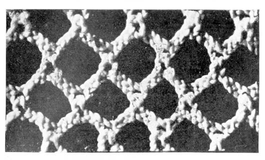 Detail of Lace with broad edged rhombi