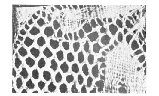 Detail of Lace with medium edged
      hexagons