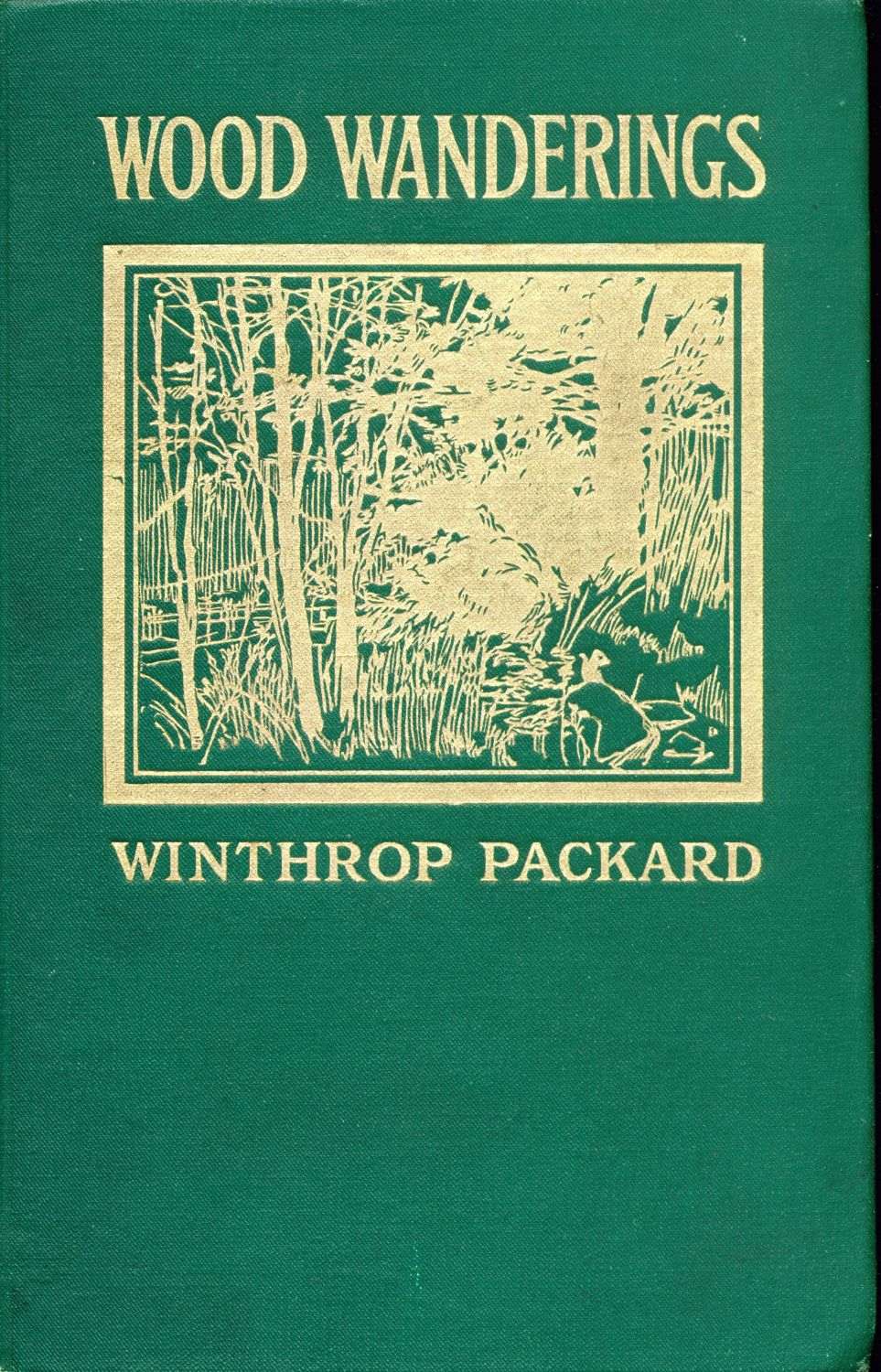 [Image of
the book's cover unavailable.]