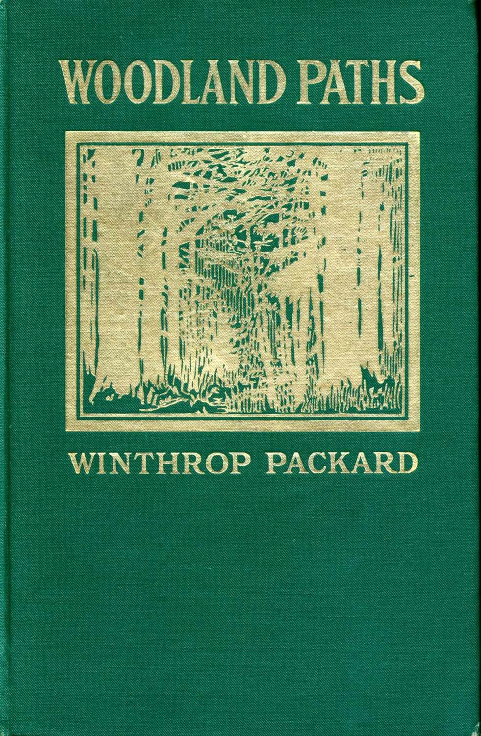 [Image of
the book's cover unavailable.]