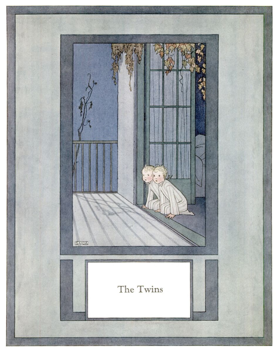 Image unavailable: The Twins