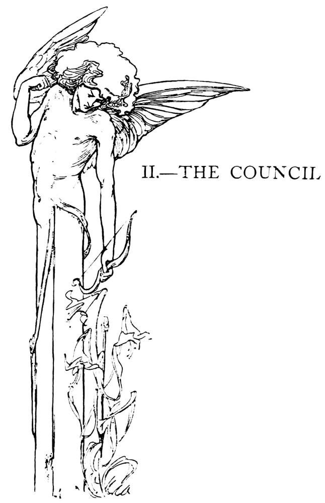 II.—THE COUNCIL