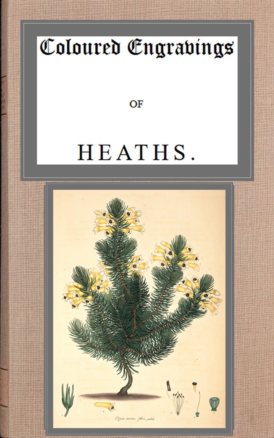 [The image of the book's cover is unavailable.]