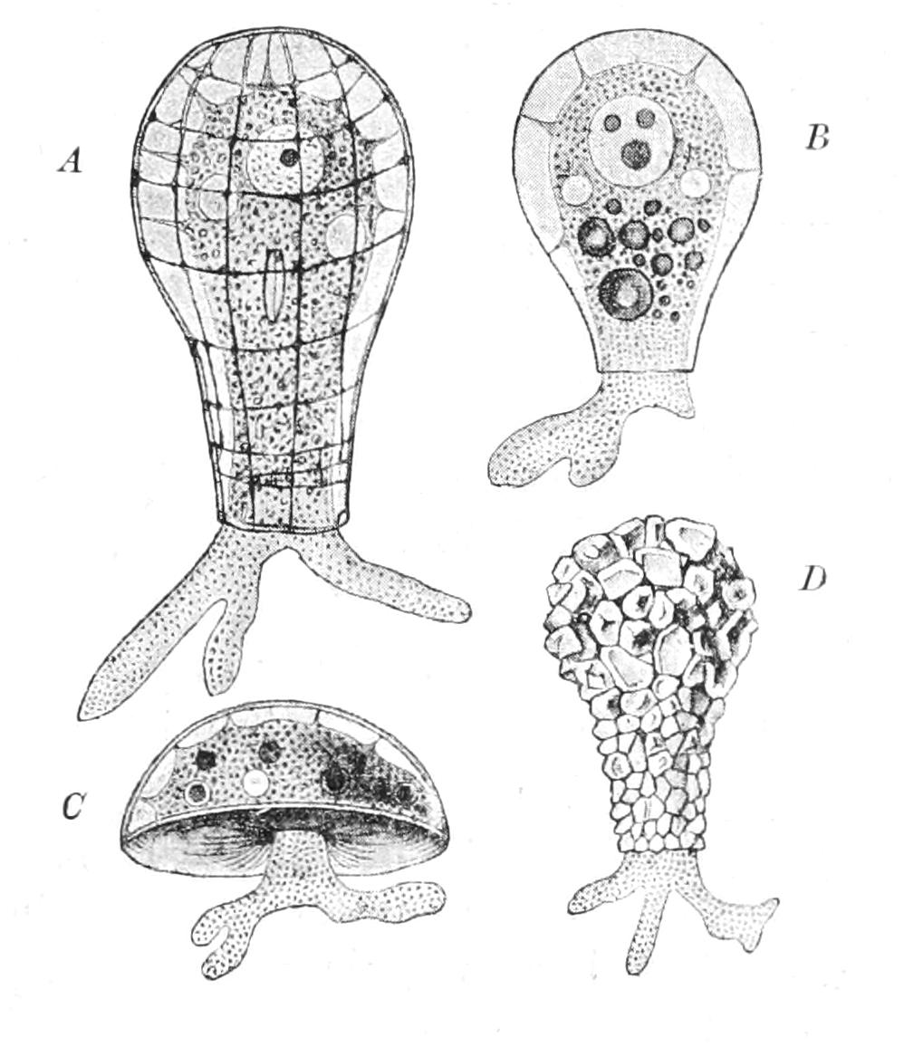 fig10
