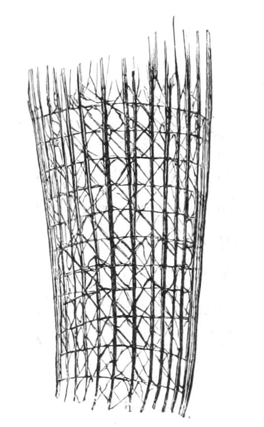 fig100