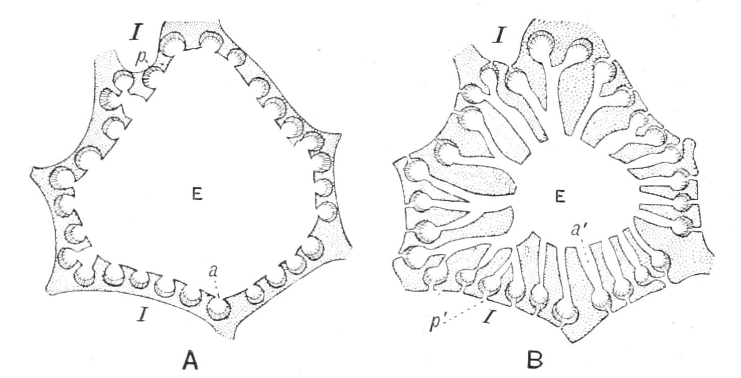 fig104