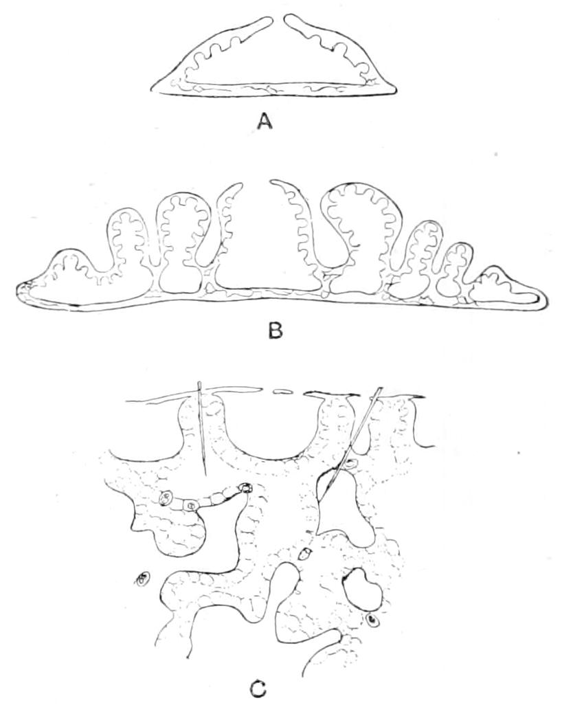 fig105