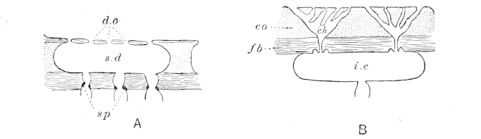 fig106