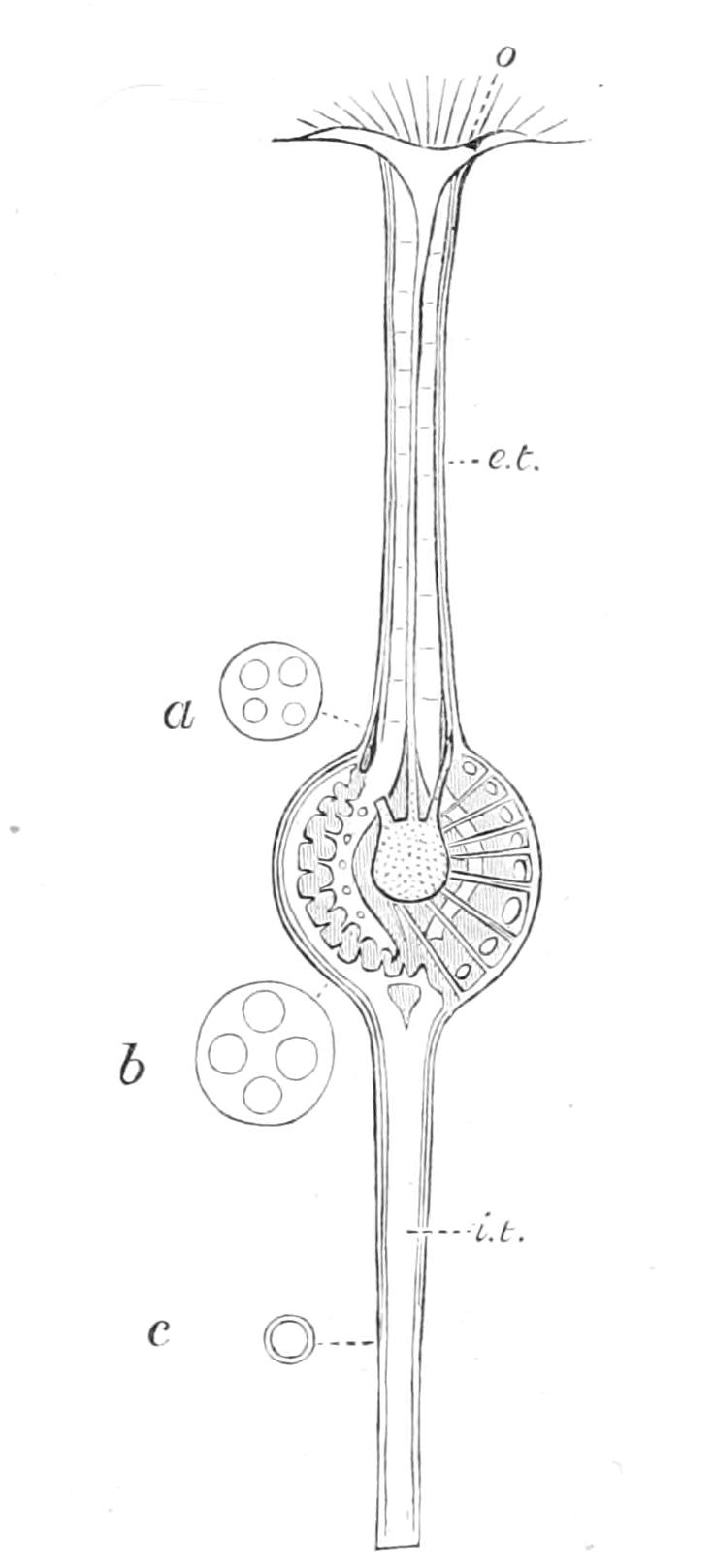 fig107
