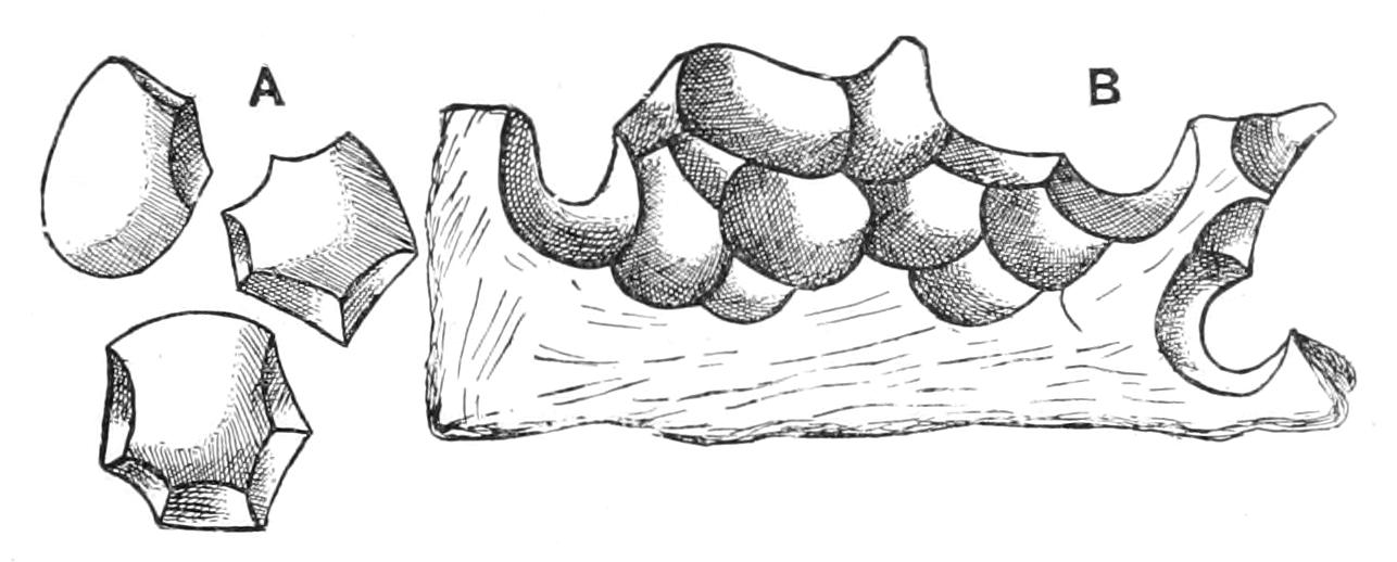 fig108