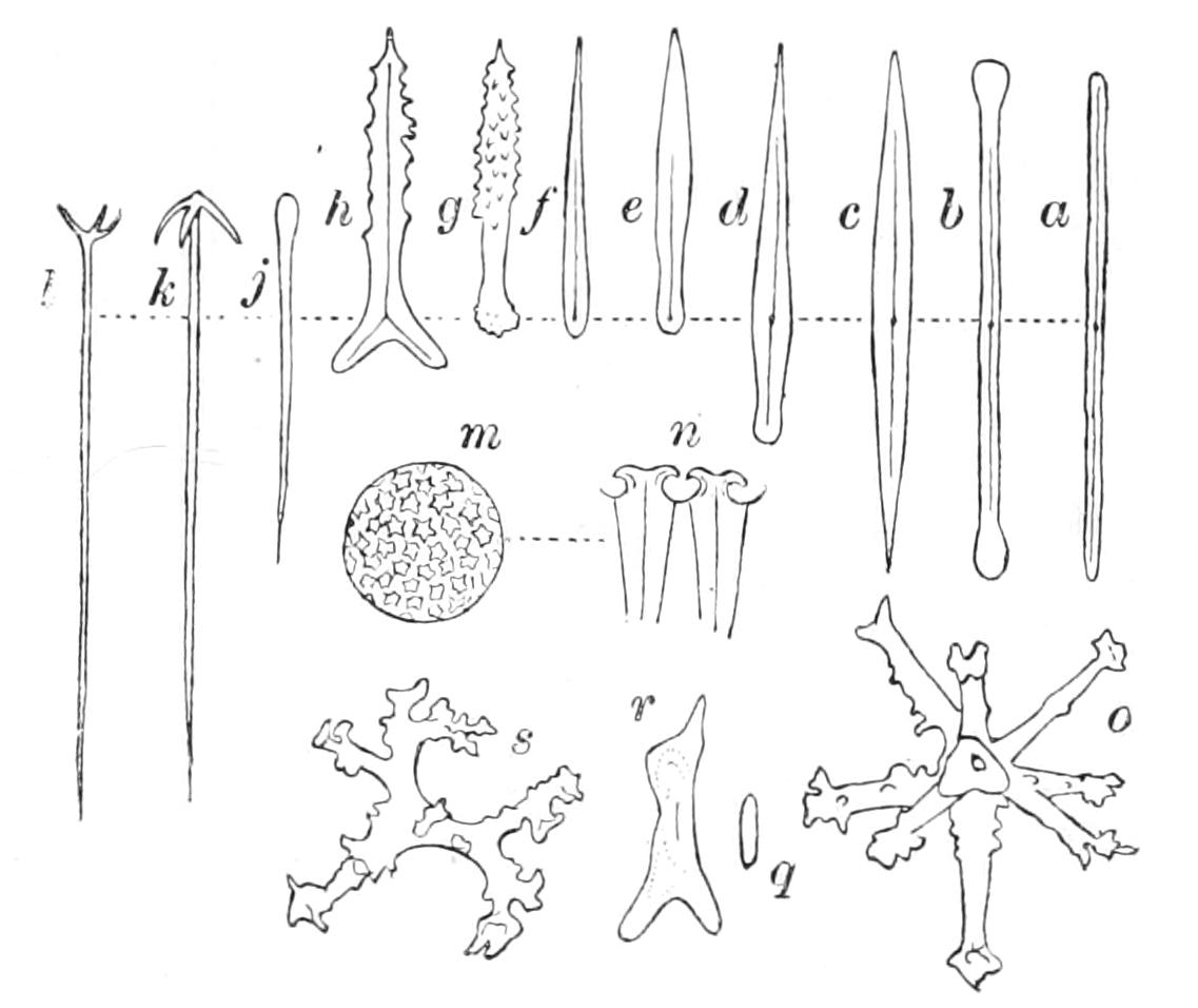 fig110