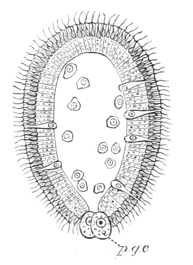 fig112