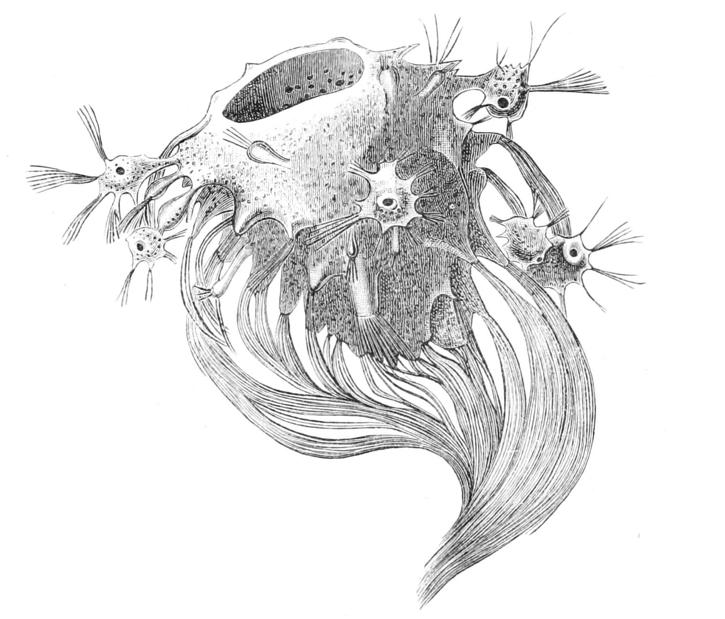fig113