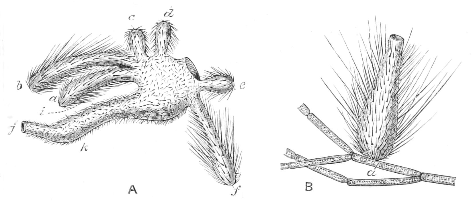 fig114