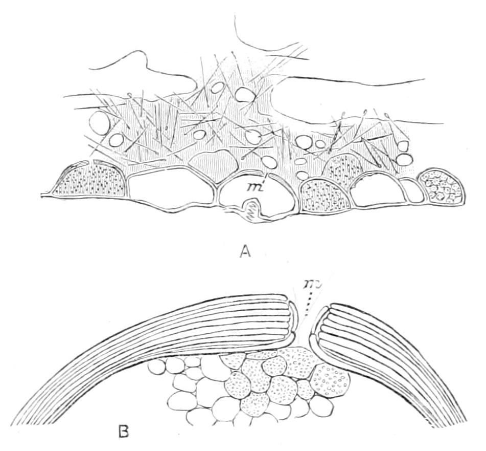 fig115