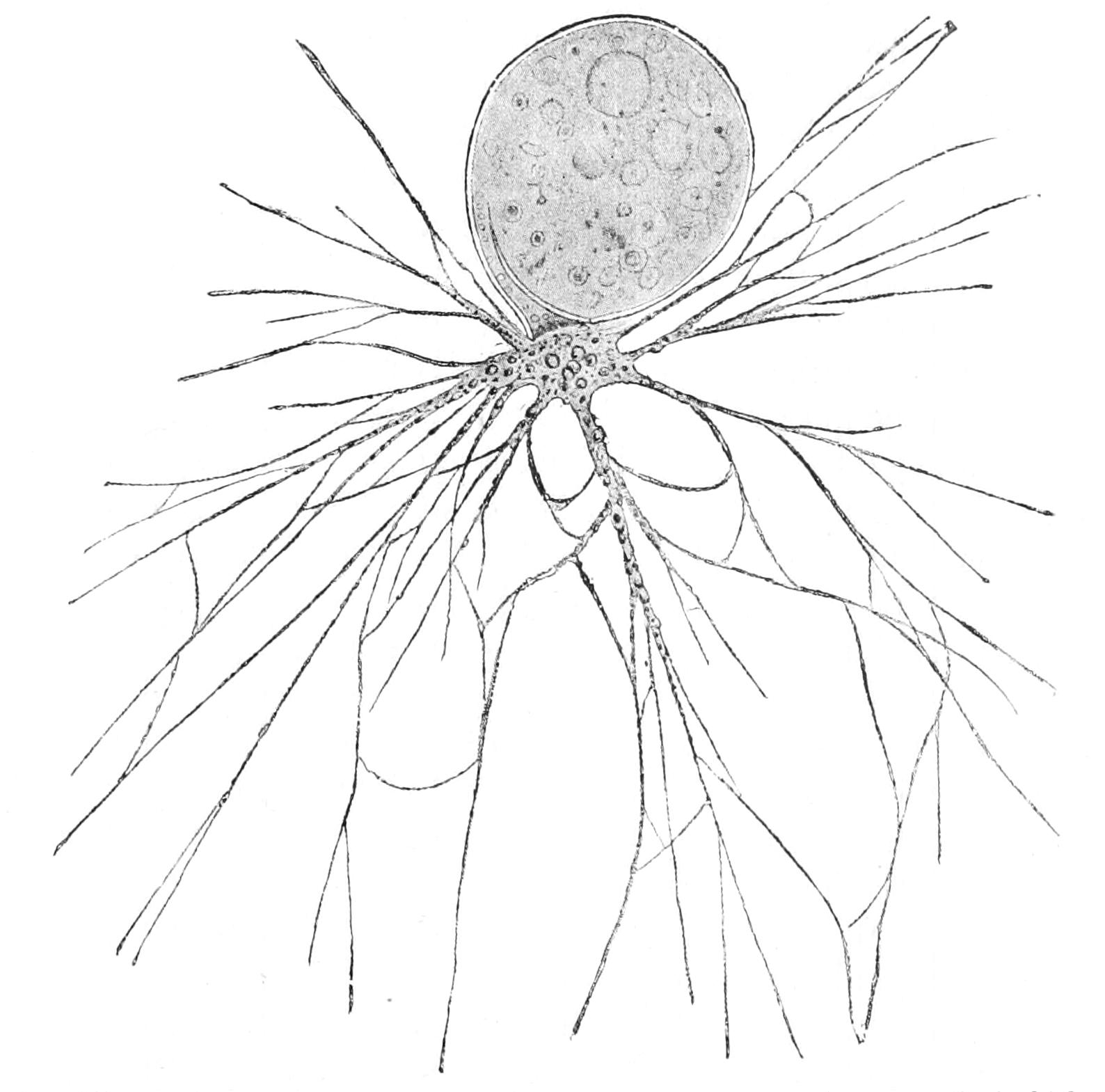 fig12