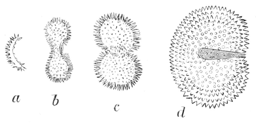 fig120
