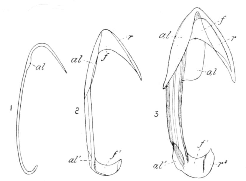 fig121